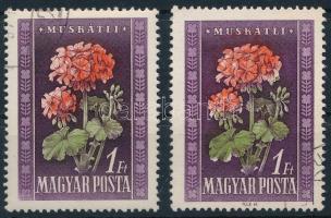 1950 2 db Virág 1Ft a tervező neve nélkül és kis színelcsúszással