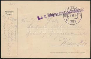 1917 Tábori posta levelezőlap "K.u.K. FELDPOSTAMT / b 299" , "K.u.K. DONAUFLOTTILLENKOMMANDO"