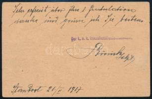 1917 Tábori posta levelezőlap "K.u.K. ETAPPENPOSTAMT / 343" , "K.u.K. DONAUFLOTTILLEN...