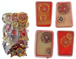 DN(~1970-1980) "Kiváló Dolgozó" aranyozott bronz kitüntetés miniatűrrel (4x) + DN(~1975-1980) "Szocialista Brigád" arany-, ezüst- és babérkoszorús kitüntető jelvények miniatűrrel (3xklf,12db, ebből 4x műanyag tokban) + DN(~1975-1980) "A Vállalat Kiváló Brigádja - Szocialista Brigád" babérkoszorús kitüntető jelvény + 1978. "Kiváló Munkáért" aranyozott, rátétes, műgyantás kitüntetés mellszalagon T:AU-VF