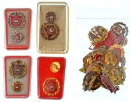 DN (~1970-1980) "Kiváló Dolgozó" aranyozott bronz kitüntetés miniatűrrel (4x) + DN(~1975-1980) "Szocialista Brigád" arany-, ezüst- és babérkoszorús kitüntető jelvények miniatűrrel (3xklf,12db, ebből 4x műanyag tokban) + DN(~1975-1980) "A Vállalat Kiváló Brigádja - Szocialista Brigád" babérkoszorús kitüntető jelvény + 1978. "Kiváló Munkáért" aranyozott, rátétes, műgyantás kitüntetés mellszalagon T:AU-VF