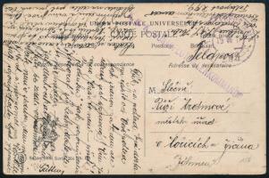 1917 Tábori posta képeslap "K.u.K. FELDPOSTAMT / b 299" , "K.u.K. DONAUFLOTTILLENKOMMANDO"