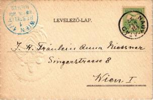 1901 Patrona Hungariae Ora Pro Nobis. Ezüstös dombornyomott lap. Morzsányi J. / Virgin Mary, Emb. (E...