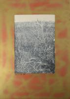 Dobrovits Ferenc (1941-1988): Gyűrődések (cím nélkül). Vegyes technika, papír. Paszpartuban. 40,5×28,5 cm.