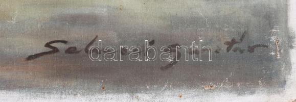 Selmeci Gusztáv jelzéssel: Száguldó lovak csikóssal. Olaj, vászon, sérült, vakráma nélkül, hajtva. 6...