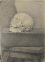 Horváth Lajos jelzéssel: Koponya. Ceruza, papír. 50×35,5 cm