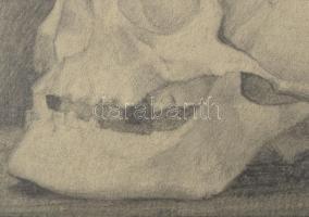 Horváth Lajos jelzéssel: Koponya. Ceruza, papír. 50×35,5 cm