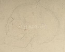 Horváth Lajos jelzéssel: Koponya. Ceruza, papír. 50×35,5 cm