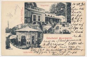 1902 Buziásfürdő, Baile Buzias; Gyógyterem, Mihály-forrás. Kossak J. / spa, baths, mineral water spring source (fa)