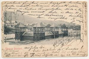 1901 Báznafürdő, Bad Baassen, Baile Bazna; Iszapfürdő. Fritz Guggenberger kiadása / Schlammbad / mud spa (EK)