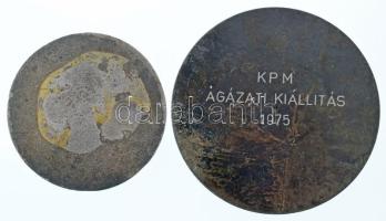 1975. "Alkotó Ifjúság Pályázat és Kiállítás" egyoldalas patinázott fém emlékérem, hátoldal...