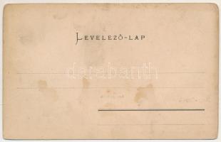 Nagyenyed, Aiud; Leányiskola, Fesztinger Dávid üzlete. Winkler János kiadása / girl school, shop (fl...