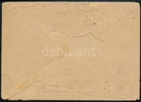 1931 Ajánlott Zeppelin levél vágott bélyegekkel a Malygin jégtörőre / Registered Zeppelin cover with...