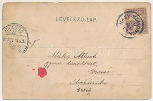 1901 Nagyszalonta, Salonta; Fő tér, zsidó férfiak csoportja. Reich Jakab kiadása / main square, grou...