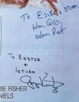 1993 Star Wars - The empire strikes back. Filmplakát számos autográf aláírással: Billy Dee Williams ...