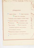 1908 Budapest térképe a főváros iskoláinak megjelölésével, kiadja: Magyar Földrajzi Intézet Rt., 50×...