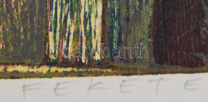 Fekete Esteban (1924-2009): Kutya. Színes fametszet, papír, jelzett, számozott (72/100). 55×40 cm