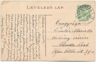 1911 Pozsony, Pressburg, Bratislava; látkép madártávlatból, zsinagóga / general view with synagogue ...