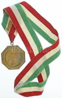 1957. "Niké / XX. ker Gubacsi Hídfő Ált. Isk. - ,,Jó sportoló jó tanuló'' Mozgalom Bajnoka 1956-57" kétoldalas, aranyozott bronz díjérem nemzeti színű nyakszalagon, babérágas kiegészítéssel T:XF, aranyozás kopás