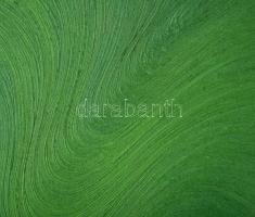 Bernát András (1957-): Objektum No. 232., 2001. Olaj, vászon, jelzett a hátoldalán. Proveniencia: vá...