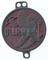 Német Harmadik Birodalom DN(~1940) "ULLR / A Téli Sportolók Védőszentje" kétoldalas, részben színezett fehérfém Síző díjérem fülekkel (40mm) T:XF, patina German Third Reich ND(~1940) "ULLR / Wintersportler Schutzpatron" two-sided, partially coloured white metal Ski award medal with ears (40mm) C:XF, patina