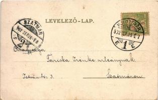 1902 Kolozsvár, Cluj; M. kir. állami tanítónőképző kerti része / teachers' training institute, ...