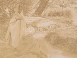 cca 1900 Biskra, Algéria, pálmafák, kartonra kasírozott, feliratozott fotó, 21×27 cm