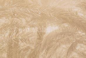 cca 1900 Biskra, Algéria, pálmafák, kartonra kasírozott, feliratozott fotó, 21×27 cm