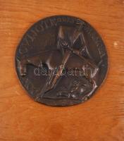 Olcsai Kiss Zoltán (1895-1981): Don Quijote. Bronz plakett falemezre rögzítve, d:15,5 cm, 26×21 cm
