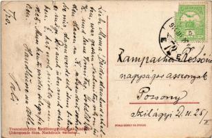 1914 Trencsénteplic, Trencianske Teplice; Az új Teplicz nagyszálloda / Das neue Grand Hotel Teplicz ...