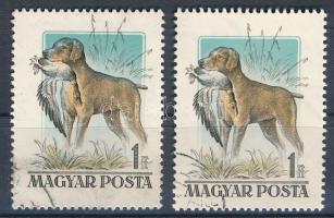 1956 Magyarországi kutyafajták 1Ft "tarajos réce" tévnyomat + javított bélyeg / Mi 1464 with plate variety + repaired