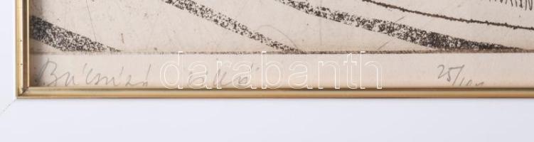 Czinke Ferenc (1926-2000): Búcsúzó Villő. Színes rézkarc, papír, jelzett, számozott (25/100). Üvegez...