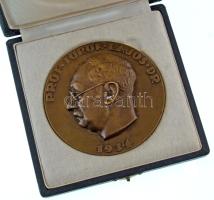 Reményi József (1887-1977) 1934. "Prof. Török Lajos Dr." kétoldalas bronz emlékérem (95mm) T:AU patina, kis ph. / Hungary 1934. "Prof. Lajos Török Dr." two-sided bronze medallion. Sign.:József Reményi (1887-1977) (95mm) C:AU patina, small edge error