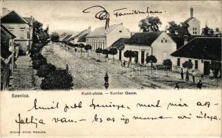 1913 Szenice, Szenicz, Senitz, Senica; Kunó utca, üzlet. Wiesner Alfréd kiadása / street view, shop (r)