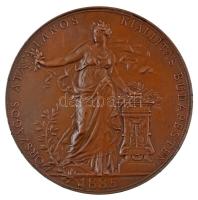 Schwartz István (1851-1924) 1885. "Országos Általános Kiállítás Budapesten 1885 / Korebecz Péternének, Szolnok-Doboka - Az érdem jeléül" bronz díjérem (65mm) T:XF patina, több kisebb ph. Hungary 1885. "Országos Általános Kiállítás Budapesten 1885 / Korebecz Péternének, Szolnok-Doboka - Az érdem jeléül (National Exposition at Budapest in 1885 / For Mrs. Peter Korebecz from Szolnok-Doboka - As the Sign of Merit)" bronze commemorative medallion. Sign.: István Schwartz (65mm) C:XF patina, multiple smaller edge errors