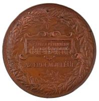 Schwartz István (1851-1924) 1885. "Országos Általános Kiállítás Budapesten 1885 / Korebecz Péte...