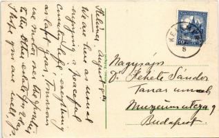 Kelemér, Putnoky kastély, kúria. Szénásy kiadása (EK)