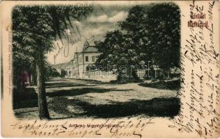 1904 Munkács, Mukacheve, Mukacevo; Állami főgimnázium. Bertsik Emil kiadása / grammar school (fl)