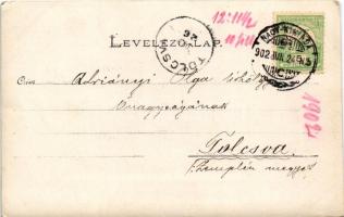 1902 Budapest I., Halászbástya, Mátyás-templom, gőzhajó, látkép a pesti oldal felől Budára. photo (E...