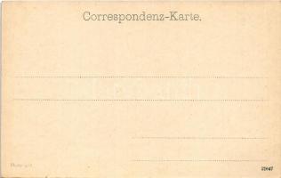 Merano, Meran (Südtirol); Joh. F. Amonn