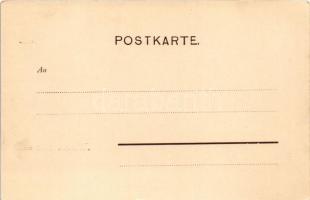 Merano, Meran (Südtirol); Schönna. Würthle &amp; Sohn / castle (EK)