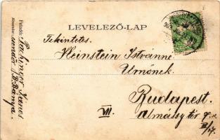 1909 Besztercebánya, Banská Bystrica; Bethlen Gábor utca, Hungária kávéház, üzletek / street view, c...