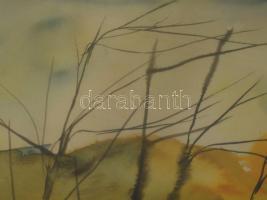 Hermann Gyula (-), erdélyi festő: Téli táj, 1995. Akvarell, papír. Dekoratív, üvegezett fakeretben, ...