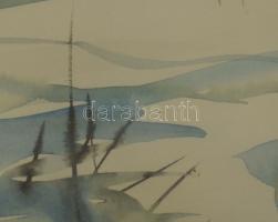 Hermann Gyula (-), erdélyi festő: Téli táj, 1995. Akvarell, papír. Dekoratív, üvegezett fakeretben, ...