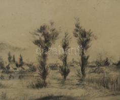 Mattis jelzéssel (ifj. Mattis-Teutsch János?): Vízparti táj. Szén, papír. Dekoratív, üvegezett faker...