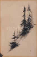 Jelzés nélkül (ifj. Mattis-Teutsch János?): Táj. Szén, papír. Üvegezett fakeretben, 15x10 cm