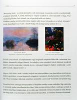 Dóri Éva - Szalay József: Ábrázolás - kifejezés. (Bp., 2012.), Magyar Művelődési Intézet és Képzőműv...