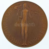 Csehszlovákia DN Csehszlovák Testnevelési Szövetség "Sport a békéért és a barátságért / A CSTV-nek ajánlva" kétoldalas bronz emlékérem (51mm) T:XF Czechoslovakia ND "Sportem za mír a Prátelství / Venuje úv CSTV" (Sport for peace and friendship / Dedicated to CSTV) two-sided bronze commemorative medallion (51mm) C:XF