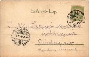 1903 Kassa, Kosice; Nemzeti Színház. Nyulászi Béla kiadása. litho hölgyek / National theatre. Art No...