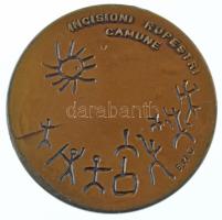 Olaszország 1980. "Sziklarajzok a Camonica-völgyben / IV. Nemzetközi konferencia a városi fűtésről 1980. V. 12-15. - Brescia" kétoldalas bronz emlékérem. Szign.: "E.M.G." (50mm) T:AU,XF Italy 1980. "Incisioni Rupestri Camune / IV Conferenza Internazionale del riscaldamento urbano 12-15-V-1980 - Brescia" two-sided bronze commemorative medallion. Sign.: "E.M.G." (50mm) C:AU,XF